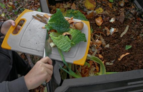 Just 5% of America's food waste is composted. Which states are getting it done?