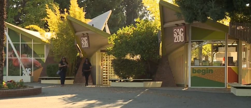 <i>KOVR via CNN Newsource</i><br/>Health officials say several skunks have tested positive for rabies after a Sacramento Zoo visitor was bitten by one this week.