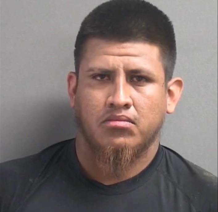 <i>Volusia Sheriff/WSVN via CNN Newsource</i><br/>A 911 call of woman ordering pizza helped Volusia County deputies save her life. Luis Moncayo Hernandez is facing felony charges of attempted sexual battery