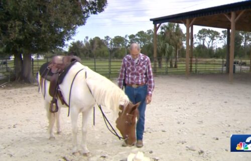 An 82-year-old horseback rider is saddling up for his next competition. If successful