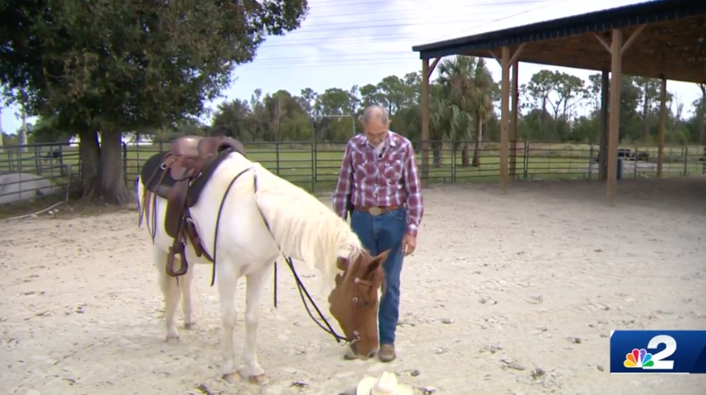 <i>WBBH via CNN Newsource</i><br/>An 82-year-old horseback rider is saddling up for his next competition. If successful