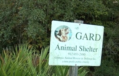 A Pembroke animal rescue is under investigation after the Georgia Department of Agriculture found animals in poor conditions at Georgia Animal Rescue and Defense (GARD).