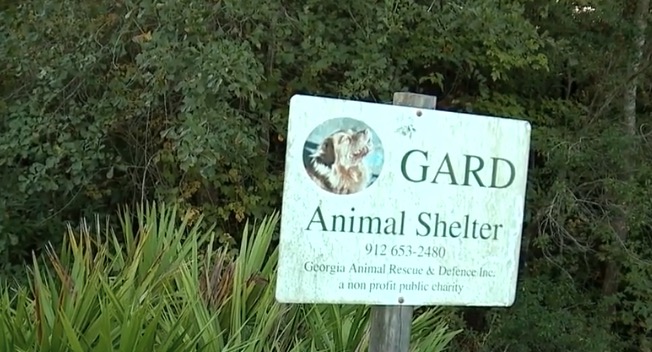 <i>WJCL via CNN Newsource</i><br/>A Pembroke animal rescue is under investigation after the Georgia Department of Agriculture found animals in poor conditions at Georgia Animal Rescue and Defense (GARD).