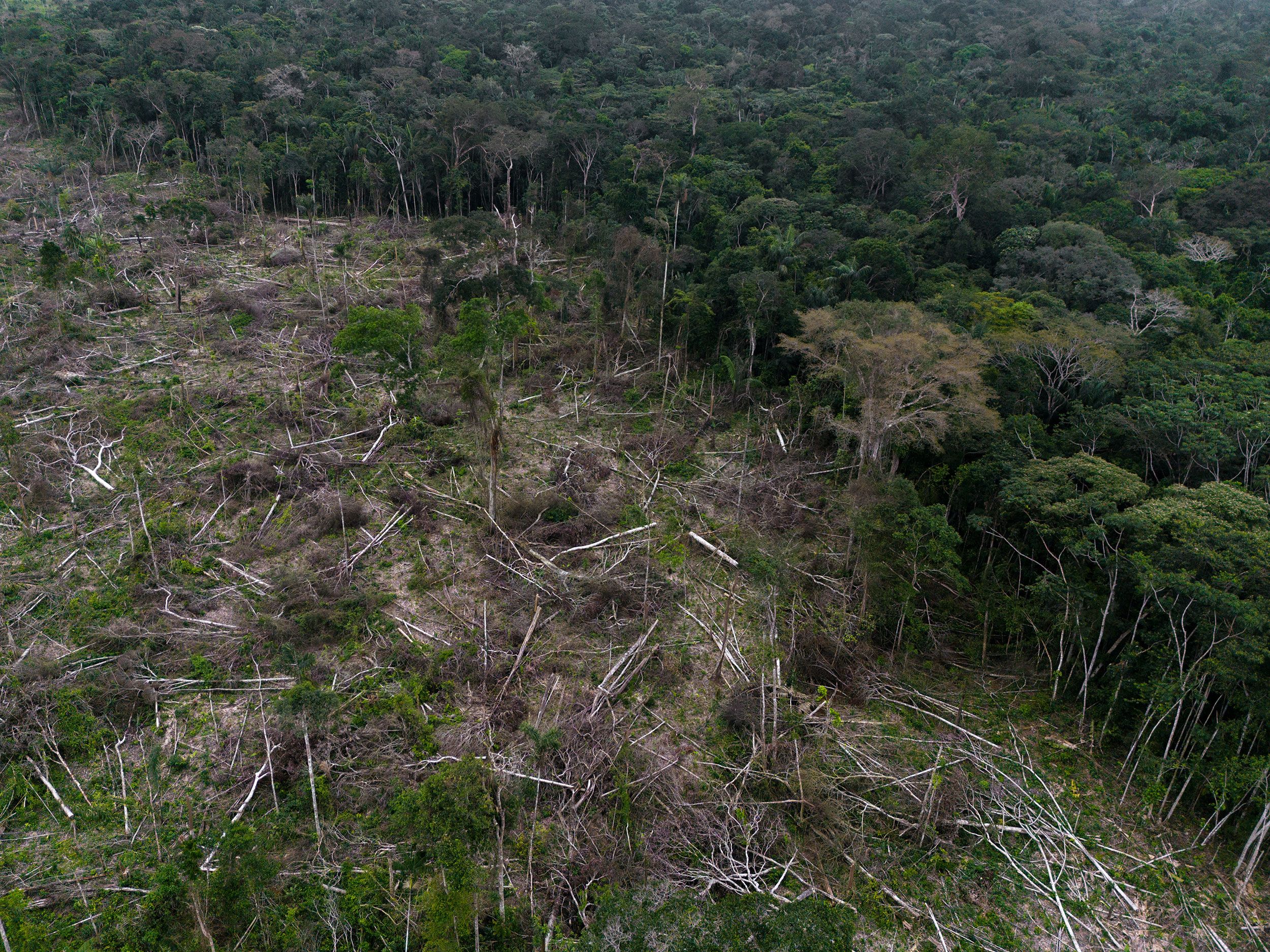 <i>Ivan Valencia/Bloomberg/Getty Images via CNN Newsource</i><br/>A section of deforestation is pictured near La Paz