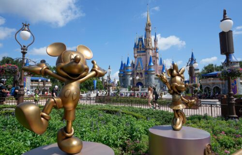 The Cinderella Castle is seen at Walt Disney World.