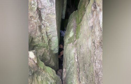 The woman was wedged between rocks near an overgrown bush track.