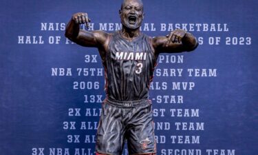 Dwyane Wade's statue went viral after its unveiling on October 28.