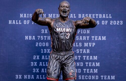 Dwyane Wade's statue went viral after its unveiling on October 28.