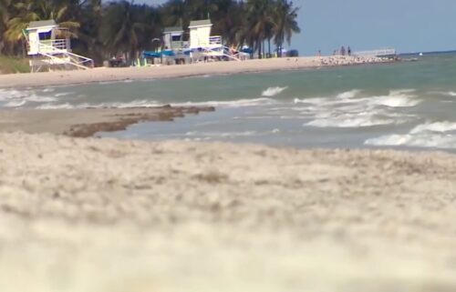 Miami-Dade Police are investigating after a human head was reportedly found ashore on a Key Biscayne beach.