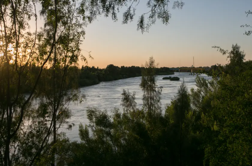 The Rio Grande seen through dense brush near the Starr-Camargo bridge in Starr County. The state recently purchased a ranch in Starr County that it's now offering to the federal government for a migrant detention center.