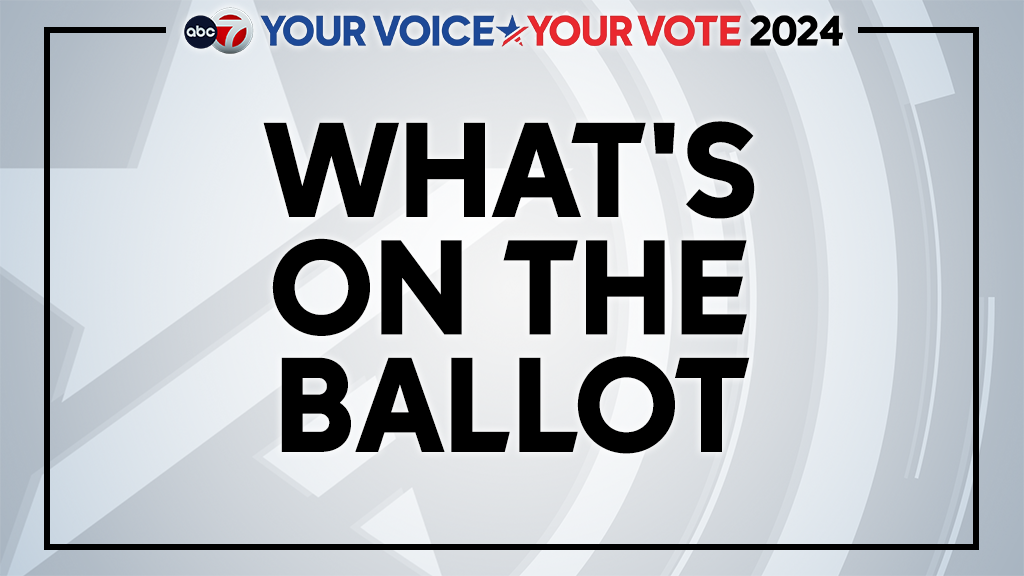 El Paso Election Day 2024: What’s on the ballot for voters - KVIA