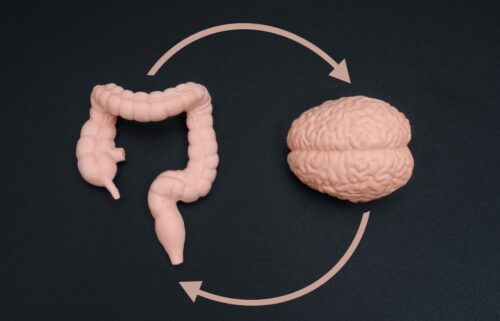 Feeling stressed? Your gut may be to blame.