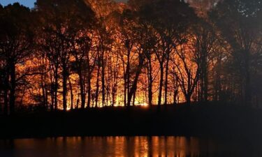 Brush fire in Brooklyn's Prospect Park extinguished