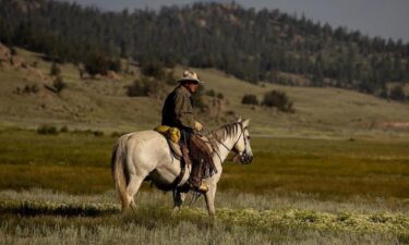 From field to fork: how America's farming revolution affects your plate and wallet