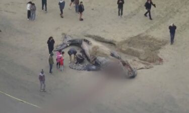 According to the officials with the National Oceanic and Atmospheric Administration