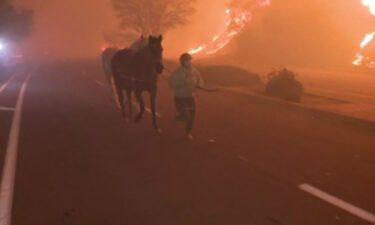 Pictured is an Eaton Canyon resident leading horses by hand in the midst of evacuation orders caused by the Eaton Fire.