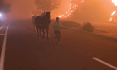 An Eaton Canyon resident leading horses by hand in the midst of evacuation orders caused by the Eaton Fire.