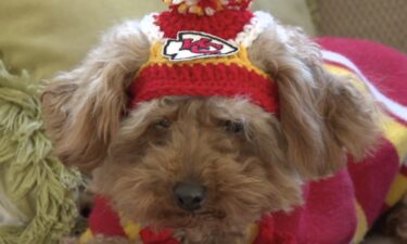 Chiefs Kingdom has all Super Bowl momentum in its corner