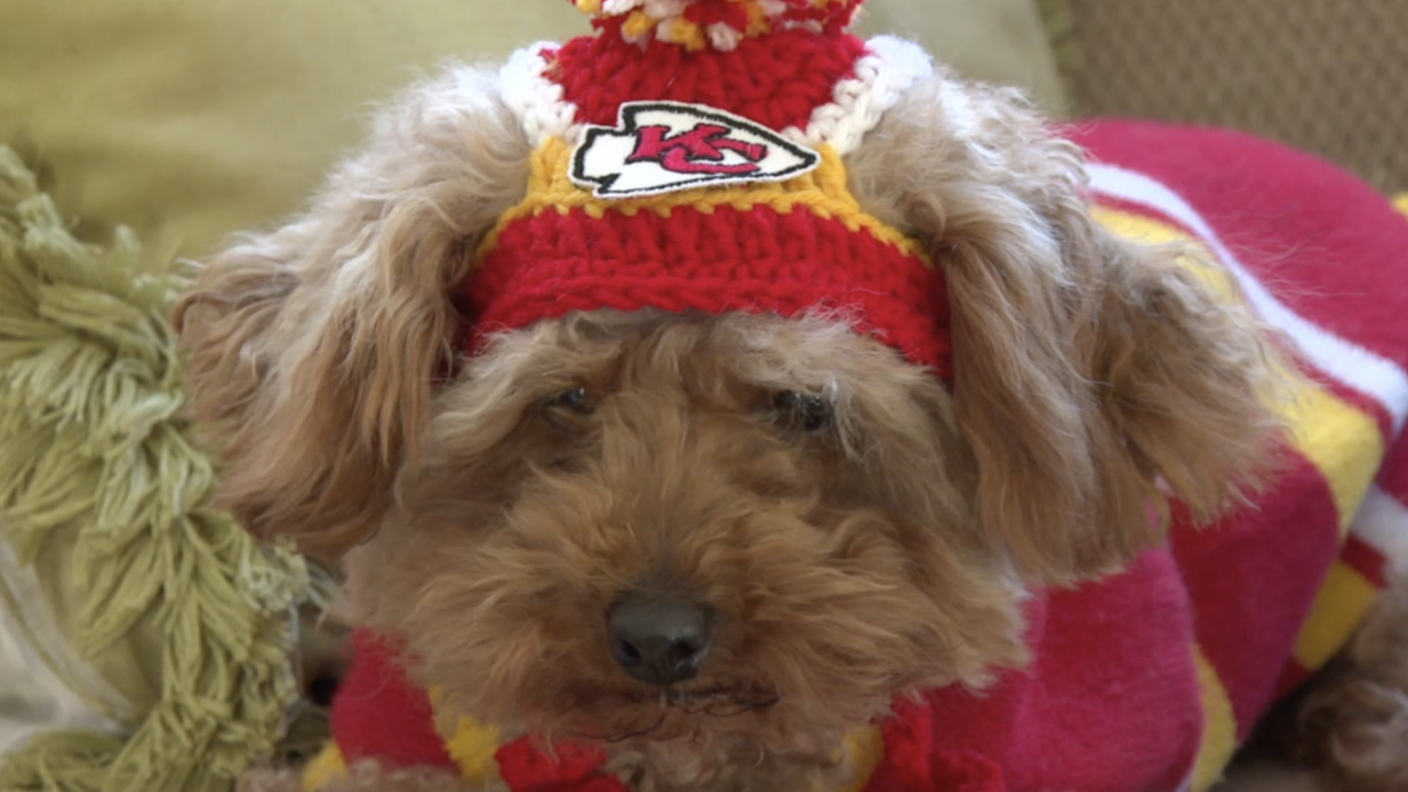 <i>KSHB via CNN Newsource</i><br/>Chiefs Kingdom has all Super Bowl momentum in its corner