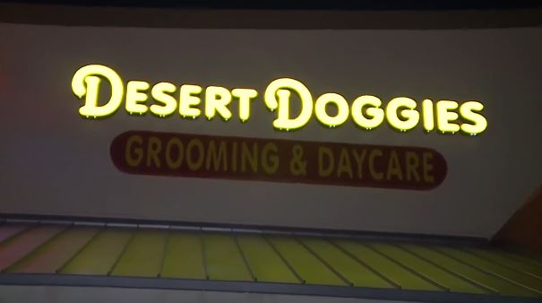 <i>KTNV via CNN Newsource</i><br/>Manda Baker owns Desert Doggies Dog Salon in Las Vegas. She is stepping up to help wildfire victims.