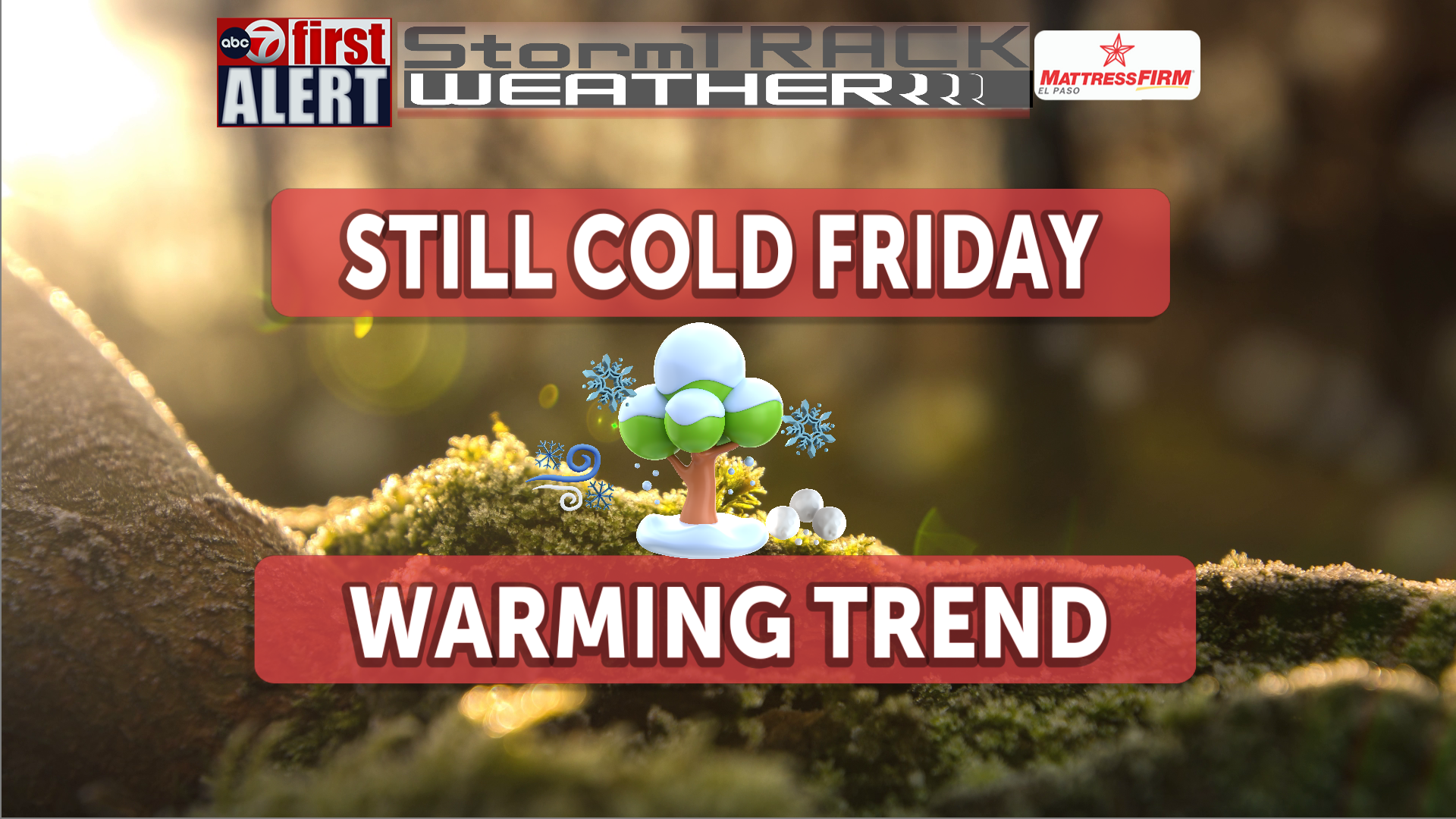 ABC-7 First Alert: Freezing temps, then warming trend - KVIA