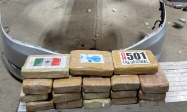 A Georgia woman was arrested and accused of trafficking more than a dozen bricks of cocaine hidden in her car.
