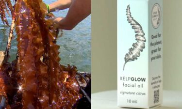 Cold Current Kelp is a farming and skincare company in Kittery.