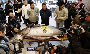 A 276-kilogram bluefin tuna that was auctioned for 207 million Japanese yen (about about 1.3 million U.S. dollars).