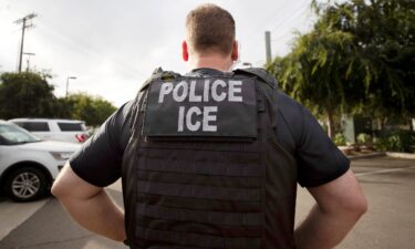 An Immigration and Customs Enforcement officer looks on during an operation in Escondido