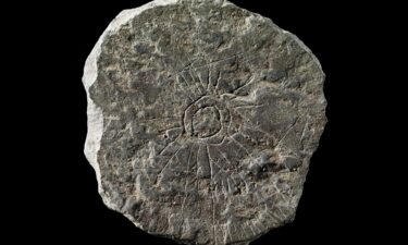 "Sun stones" were named for sunlike designs carved on discs found on the Danish island of Bornholm. The sun is the most common motif