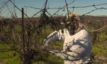 California farm workers are working under fear of mass deportations.