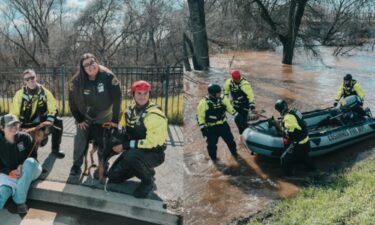 Two dogs were rescued from an embankment surrounded by rising water in Galt.