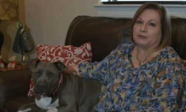 Silver ran away from home on July 4