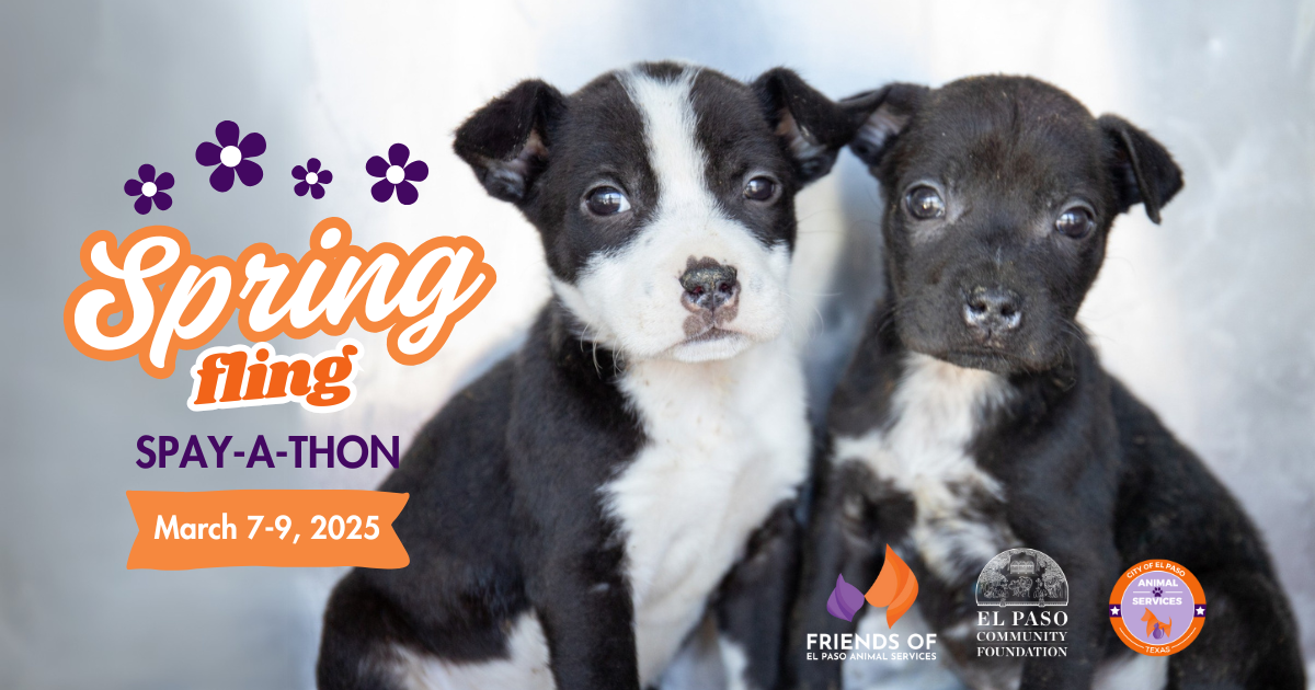 El Paso Spring Fling Spay-A-Thon
