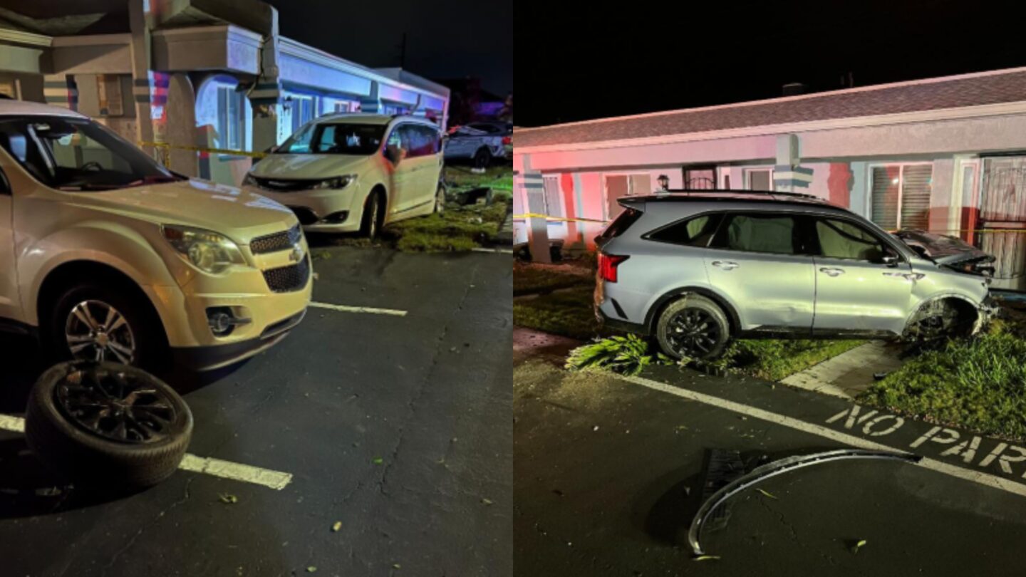 <i>Cape Coral Police Department/WBBH via CNN Newsource</i><br/>According to the press release