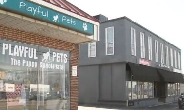 The video shows the suspect entering the Playful Pets shop in Plymouth Township last Monday and showing an interest in a German Shepherd puppy.