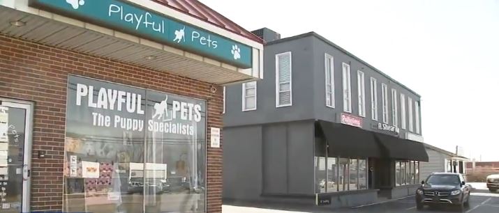 <i>WPVI via CNN Newsource</i><br/>The video shows the suspect entering the Playful Pets shop in Plymouth Township last Monday and showing an interest in a German Shepherd puppy.