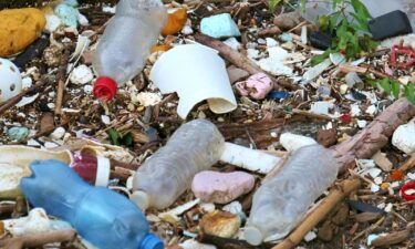 Tiny pieces of plastic have been discovered in the human placenta