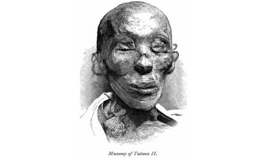 The mummy of Thutmose II illustrated in the book "From Pharaoh to Fellah" in 1888.