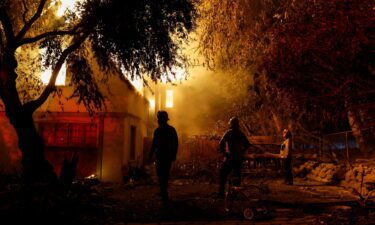 Homes and trees destroyed by the Palisades Fire are seen along the coastline on January 15