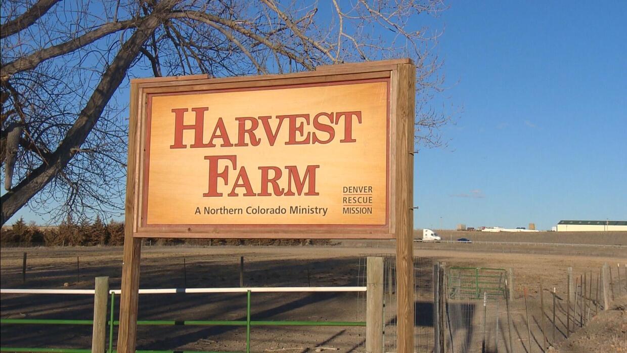 <i>KCNC via CNN Newsource</i><br/>The Harvest Farm helped a record number of men overcome addictions and find stable housing in 2024.