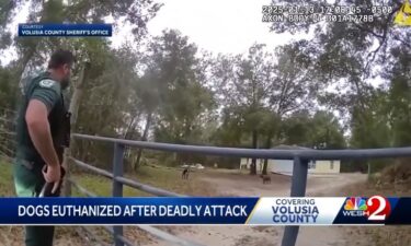 The dogs were euthanized on Thursday
