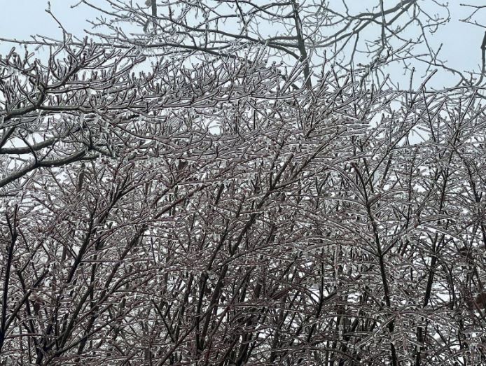 <i>WLOS via CNN Newsource</i><br/>Freezing rain and ice in northern Henderson County/Mills River