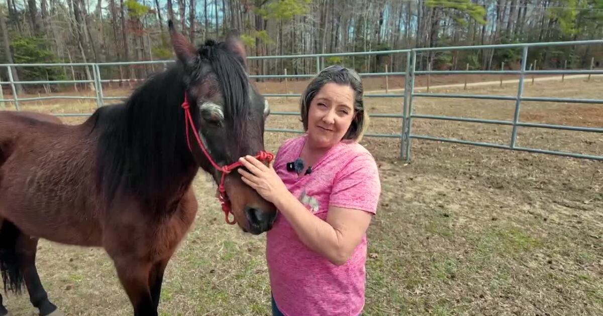 <i>WTVR via CNN Newsource</i><br/>She rescued a horse nobody wanted. As fate would have it