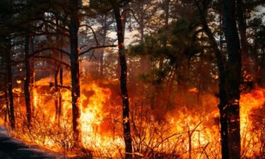 California Branch Fire burning in New Jersey's Wharton State Forest on March 22.