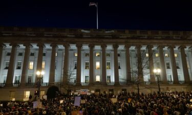 Democratic lawmakers address a "Nobody Elected Elon" rally outside the Treasury building in February in Washington