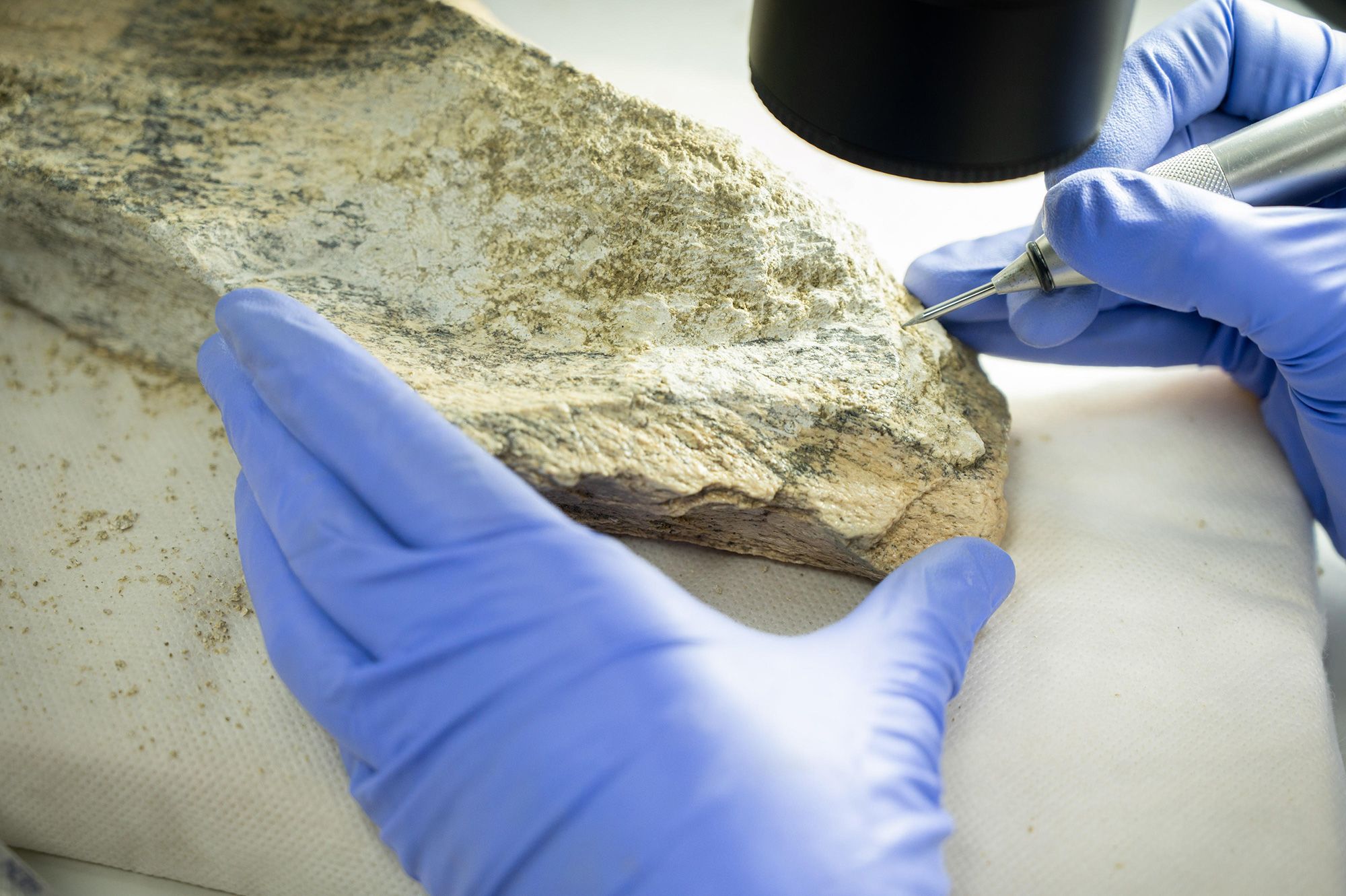 <i>CSIC via CNN Newsource</i><br/>Hominins left distinct markings and created sharp edges by knapping the bones