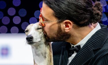 Miuccia is pictured running around the arena with her handler