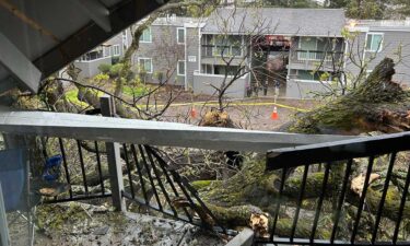 The tree had fallen on multiple balconies and caused some roof damage to the building.