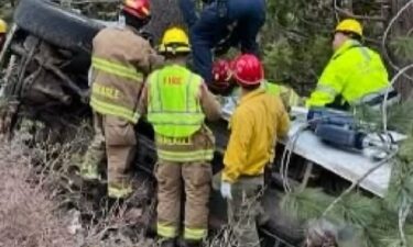 A man and his dog who were trapped stayed the night in a truck after crashing off Highway 89 in Sierra County on Tuesday.